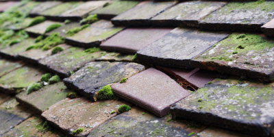 Wytham roof repair costs